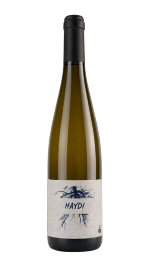 Riesling - HAYDI 2025 - AB