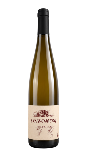 Auxerrois - LANZENBERG 2024 - AB