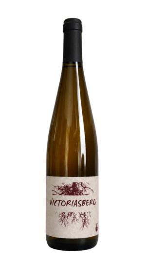Pinot Noir - VICTORIASBERG 2023 - AB